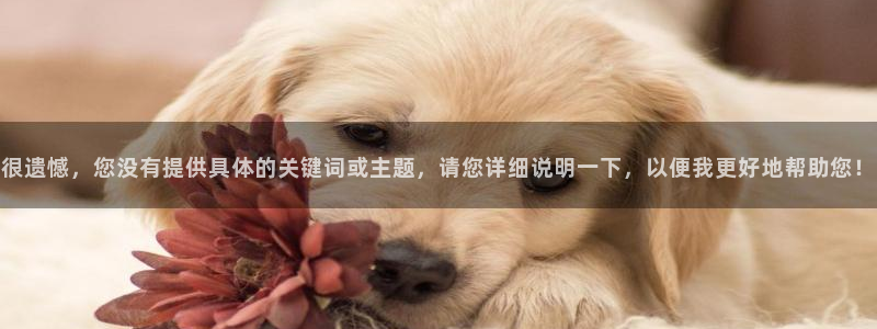 天辰娱乐平台入口:很遗憾,您没有提供具体的关键词或主题,请您详细说明一下,以便我更好地帮助您!