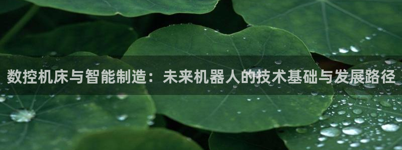 天辰娱乐棋牌:数控机床与智能制造:未来机器人的技术基础与发展路径