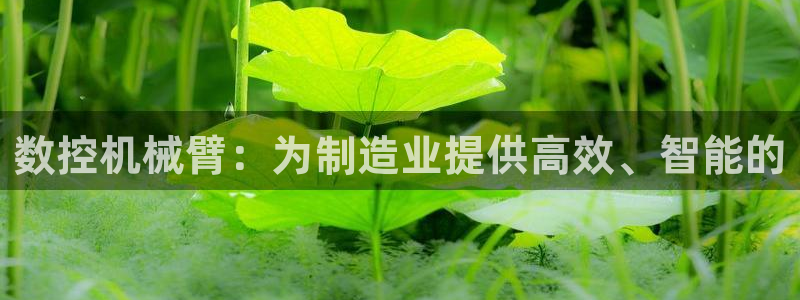 天辰娱乐平台app下载:数控机械臂:为制造业提供高效、智能的