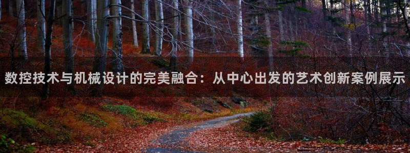 天辰娱乐84566:数控技术与机械设计的完美融合:从中心出发的艺术创新案例展示