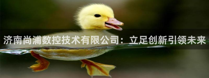 下载天辰娱乐:济南尚浦数控技术有限公司:立足创新引领未来