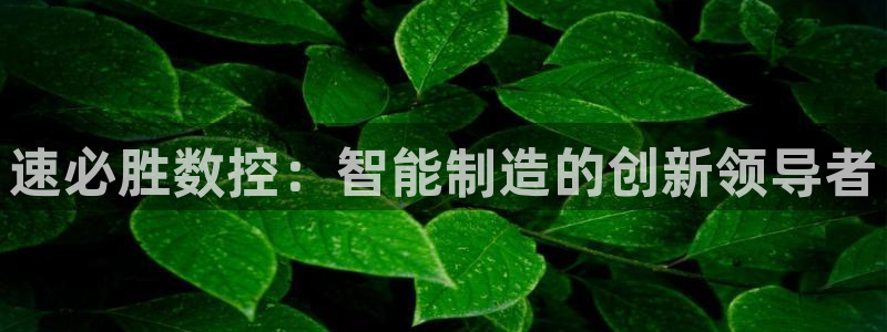 天辰娱乐总管年薪:速必胜数控:智能制造的创新领导者