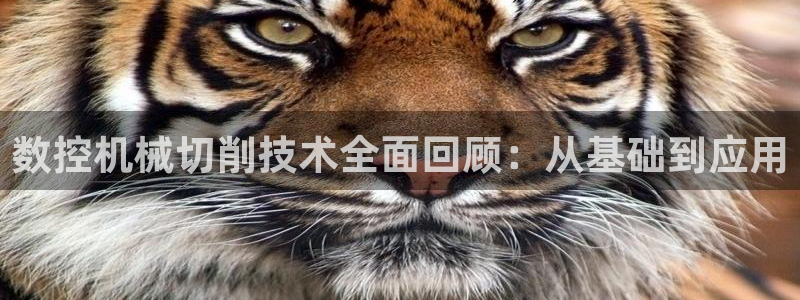 天辰娱乐登录测试