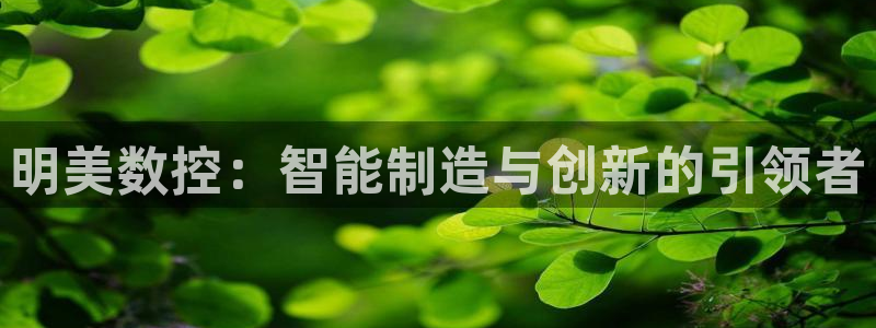 天辰娱乐卡:明美数控:智能制造与创新的引领者