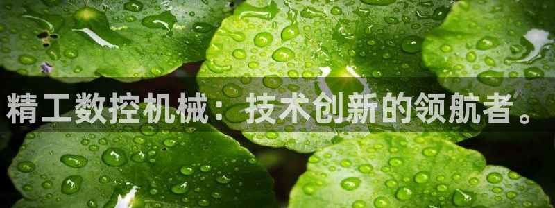 天辰娱乐视频:精工数控机械:技术创新的领航者。