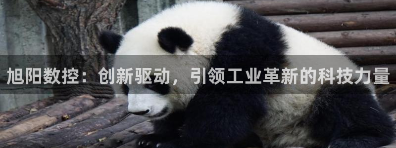 南京天辰娱乐:旭阳数控:创新驱动,引领工业革新的科技力量