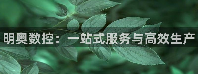 天辰娱乐平台登录账号:明奥数控:一站式服务与高效生产