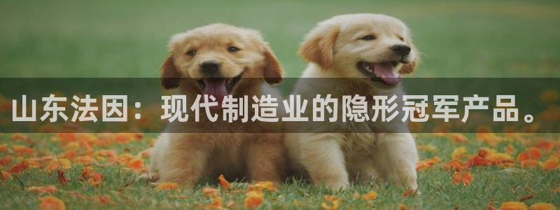 娱乐ktv天辰:山东法因:现代制造业的隐形冠军产品。