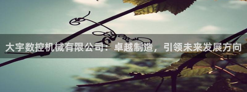 天辰娱乐视频:大宇数控机械有限公司:卓越制造,引领未来发展方向