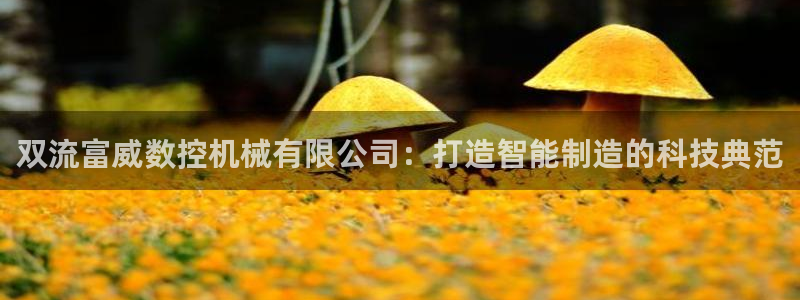 大同天辰娱乐:双流富威数控机械有限公司:打造智能制造的科技典范