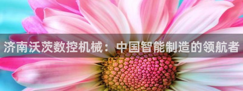 天辰彩票娱乐:济南沃茨数控机械:中国智能制造的领航者