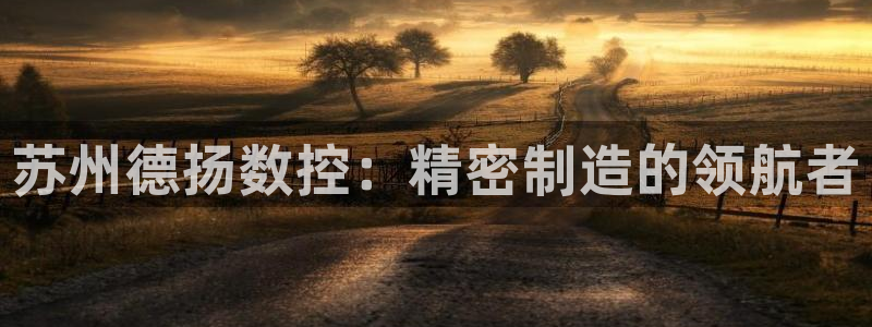 天辰娱乐平台登录账号:苏州德扬数控:精密制造的领航者
